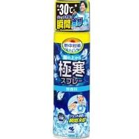 小林製薬　服の上から極寒スプレー