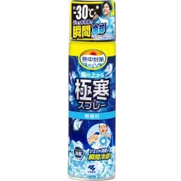 小林製薬　服の上から極寒スプレー